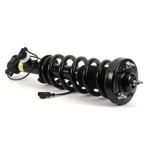 SK-3597
