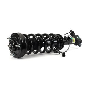 SK-3598