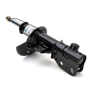 SK-2118