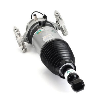 AS-3166