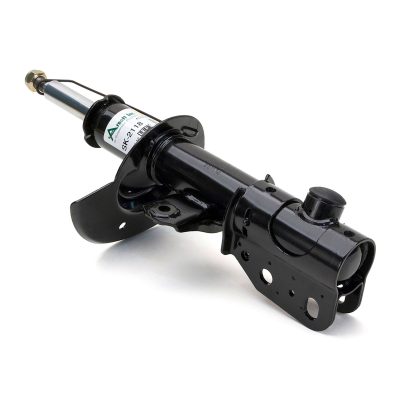 SK-2118
