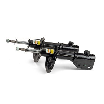 SK-2189