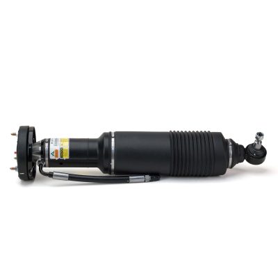 SK-2418
