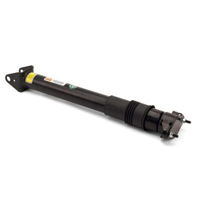 SK-2868