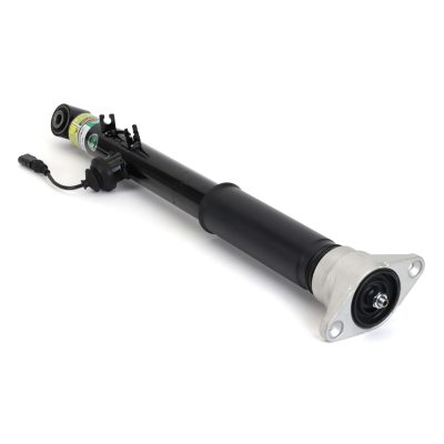 SK-3561