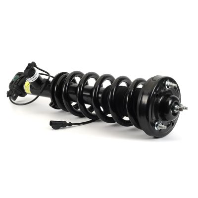 SK-3597