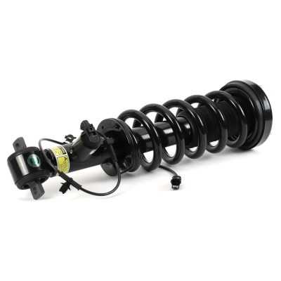 SK-3597