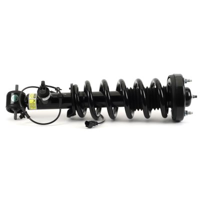 SK-3597
