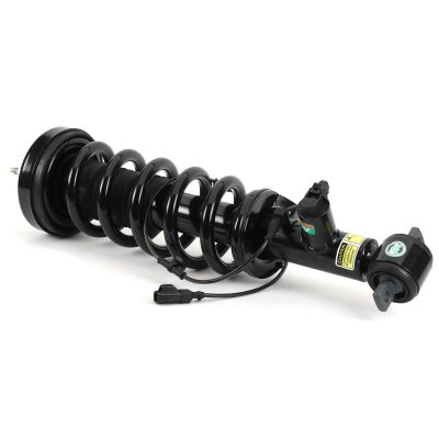 SK-3598