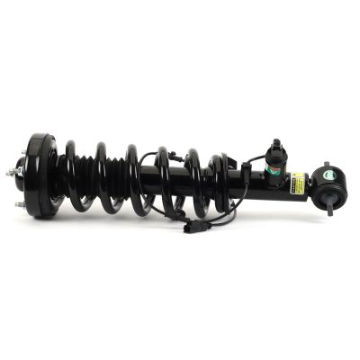 SK-3598