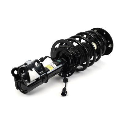 SK-3599