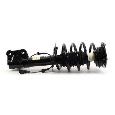 SK-3599
