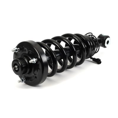 SK-3629