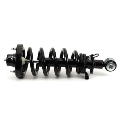 SK-3629