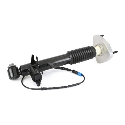 SK-3816