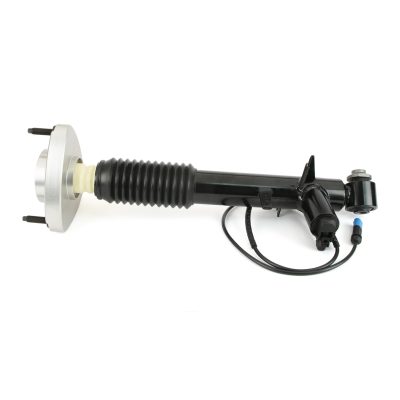 SK-3817